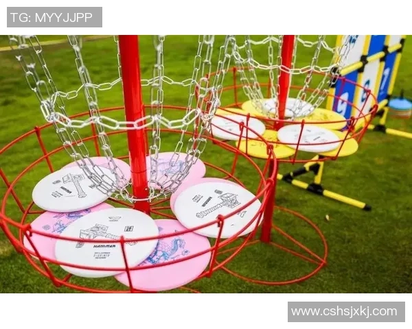 北京飞盘队耐力训练的挑战与突破分析探讨